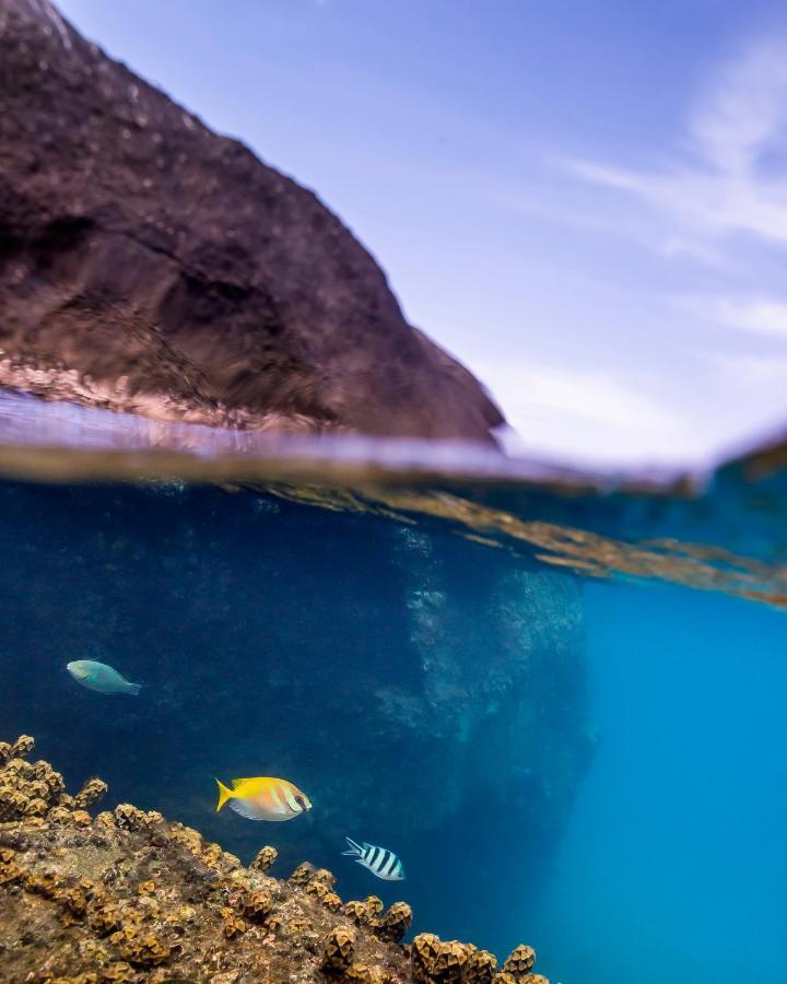 Resort New Heaven Dive Ko Tao