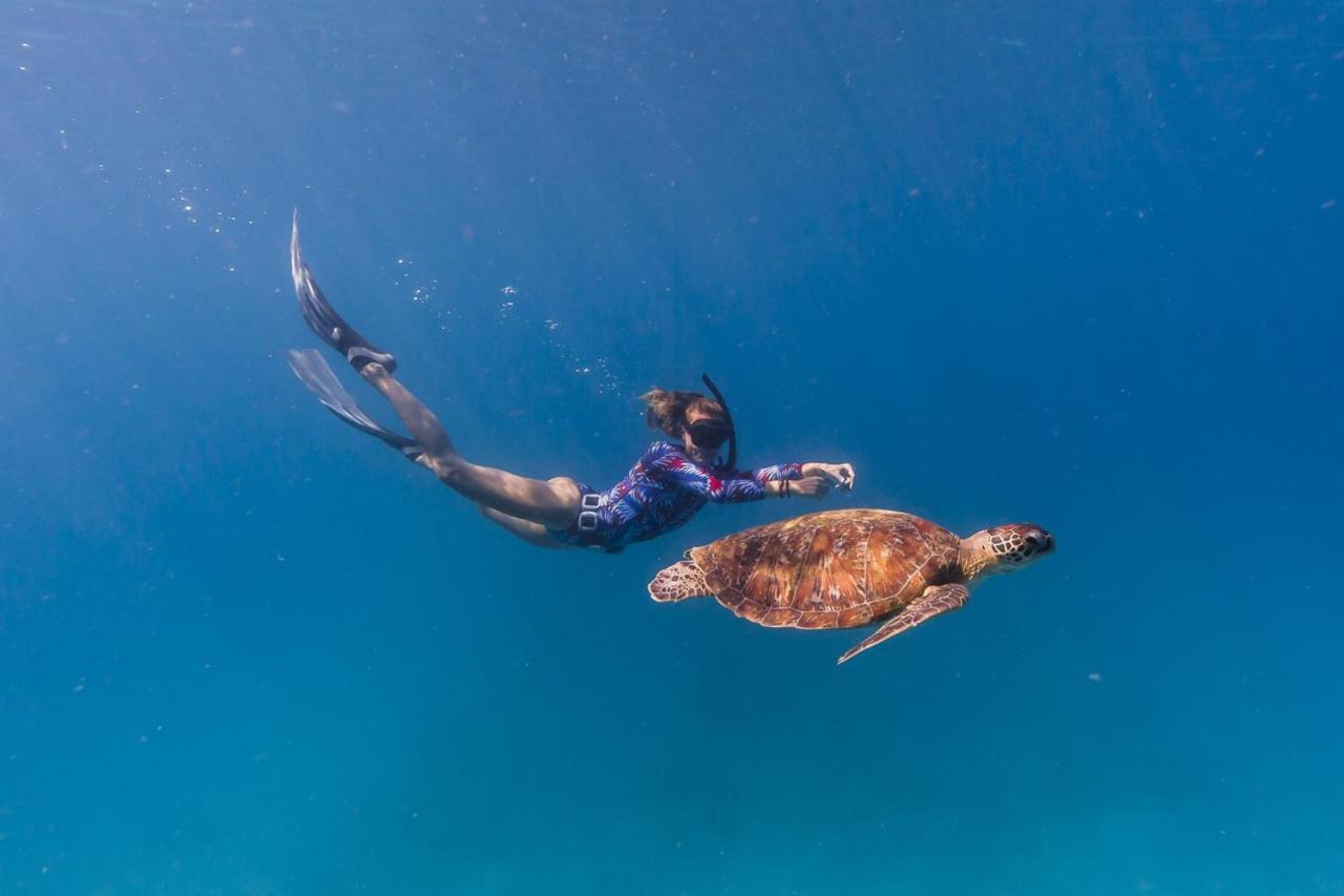 New Heaven Dive Ko Tao